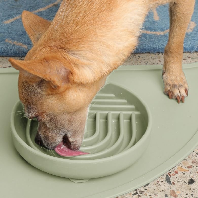 Slow Feeder Dog Bowls - Small Size Silicone Slow Eating Dog Bowl for Puppies & Dogs with Suction Cup -Dishwasher-Safe, Lick Mat Design, Reduces Gulping, for All Breeds, 6”x1.25”- Sage