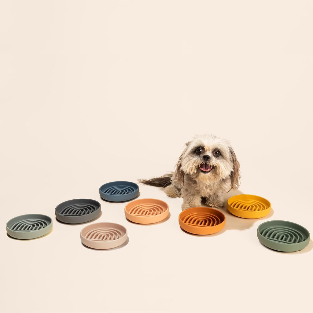 Slow Feeder Dog Bowls - Small Size Silicone Slow Eating Dog Bowl for Puppies & Dogs with Suction Cup -Dishwasher-Safe, Lick Mat Design, Reduces Gulping, for All Breeds, 6”x1.25”- Sage