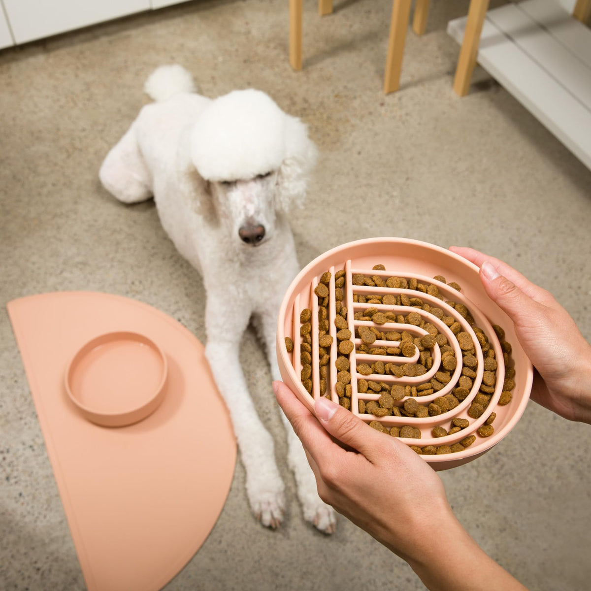 Slow Feeder Dog Bowls - Small Size Silicone Slow Eating Dog Bowl for Puppies & Dogs with Suction Cup -Dishwasher-Safe, Lick Mat Design, Reduces Gulping, for All Breeds, 6”x1.25”- Sage