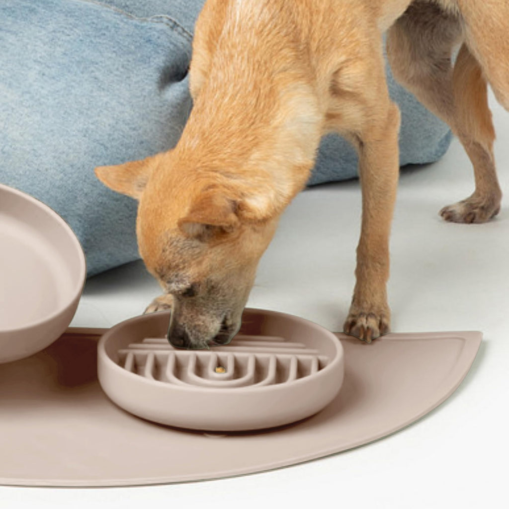 Slow Feeder Dog Bowls - Small Size Silicone Slow Eating Dog Bowl for Puppies & Dogs with Suction Cup -Dishwasher-Safe, Lick Mat Design, Reduces Gulping, for All Breeds, 6”x1.25”- Sage