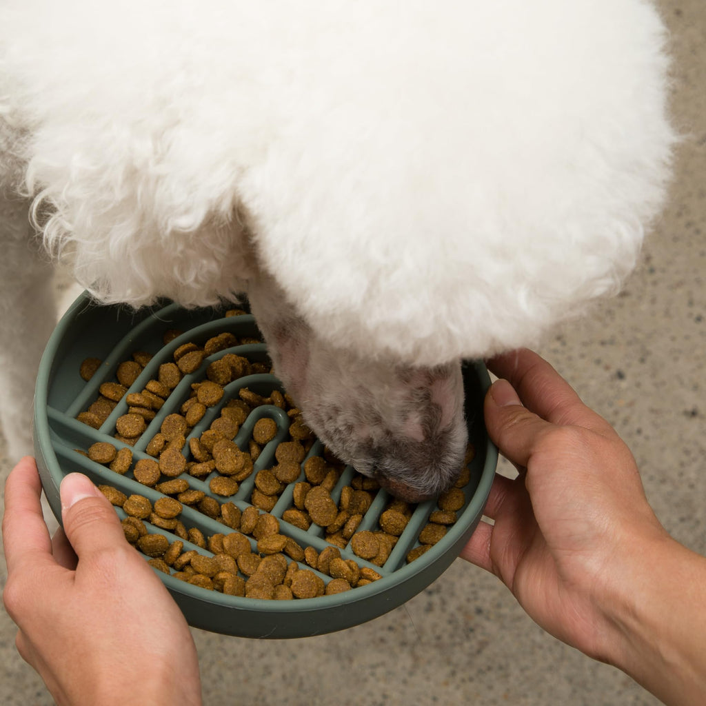 Slow Feeder Dog Bowls - Small Size Silicone Slow Eating Dog Bowl for Puppies & Dogs with Suction Cup -Dishwasher-Safe, Lick Mat Design, Reduces Gulping, for All Breeds, 6”x1.25”- Sage