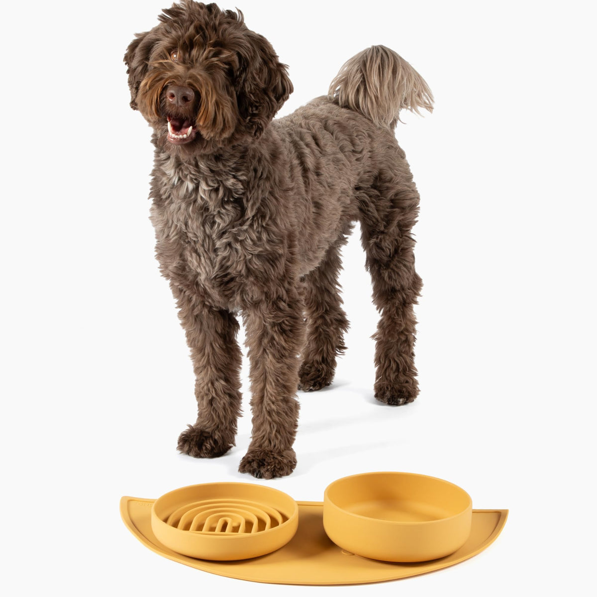 Slow Feeder Dog Bowls - Small Size Silicone Slow Eating Dog Bowl for Puppies & Dogs with Suction Cup -Dishwasher-Safe, Lick Mat Design, Reduces Gulping, for All Breeds, 6”x1.25”- Sage
