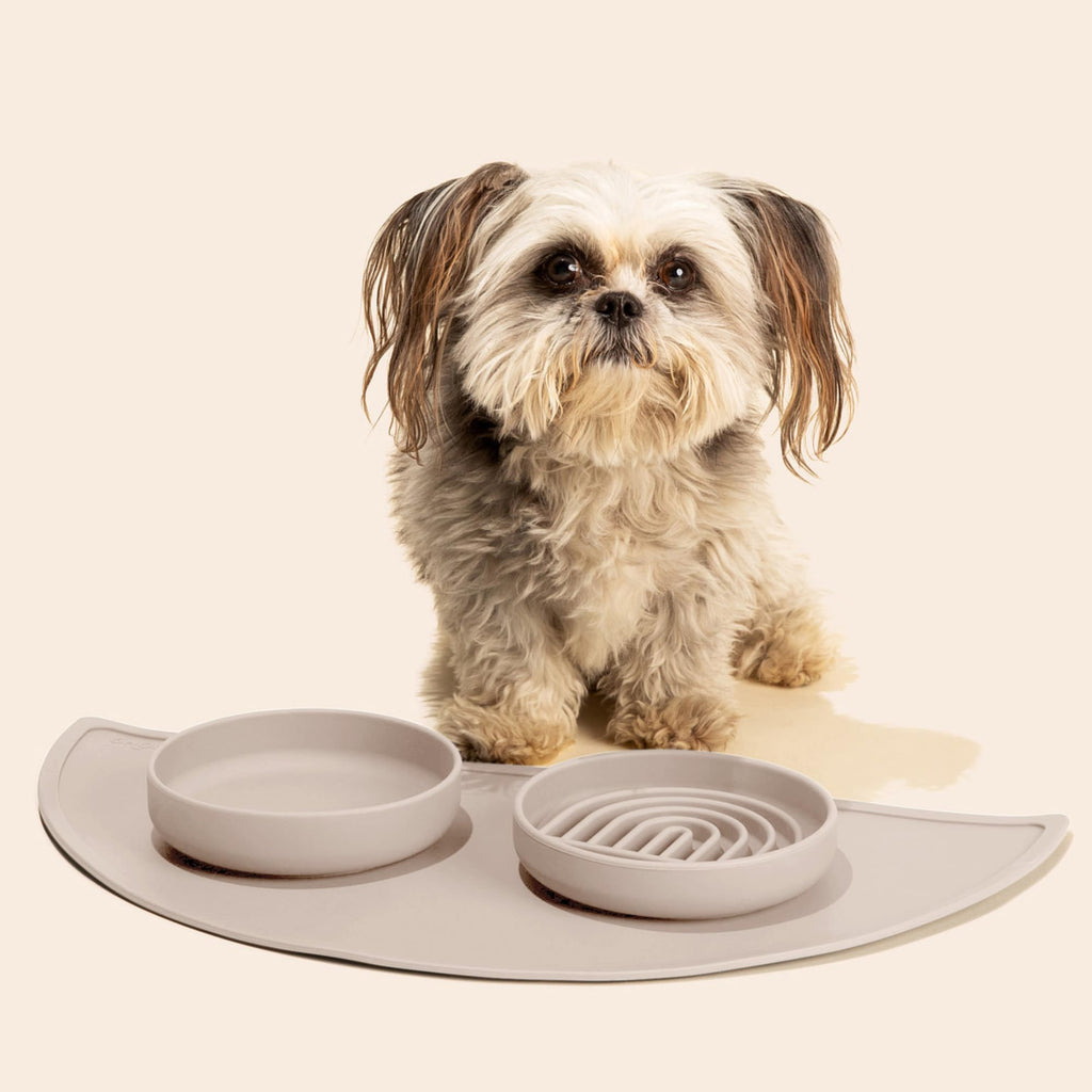 Slow Feeder Dog Bowls - Small Size Silicone Slow Eating Dog Bowl for Puppies & Dogs with Suction Cup -Dishwasher-Safe, Lick Mat Design, Reduces Gulping, for All Breeds, 6”x1.25”- Sage