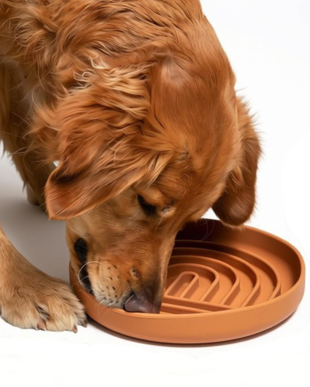 Slow Feeder Dog Bowls - Small Size Silicone Slow Eating Dog Bowl for Puppies & Dogs with Suction Cup -Dishwasher-Safe, Lick Mat Design, Reduces Gulping, for All Breeds, 6”x1.25”- Sage