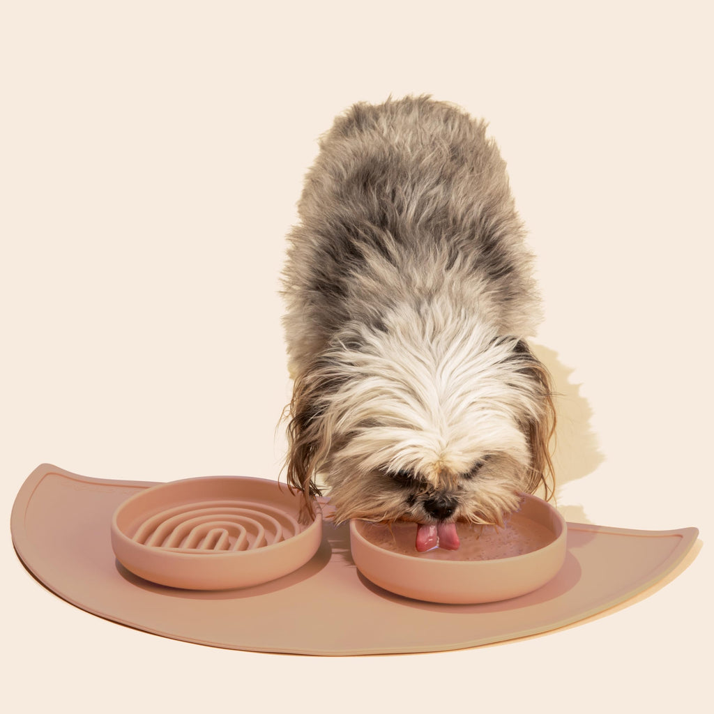 Slow Feeder Dog Bowls - Small Size Silicone Slow Eating Dog Bowl for Puppies & Dogs with Suction Cup -Dishwasher-Safe, Lick Mat Design, Reduces Gulping, for All Breeds, 6”x1.25”- Sage