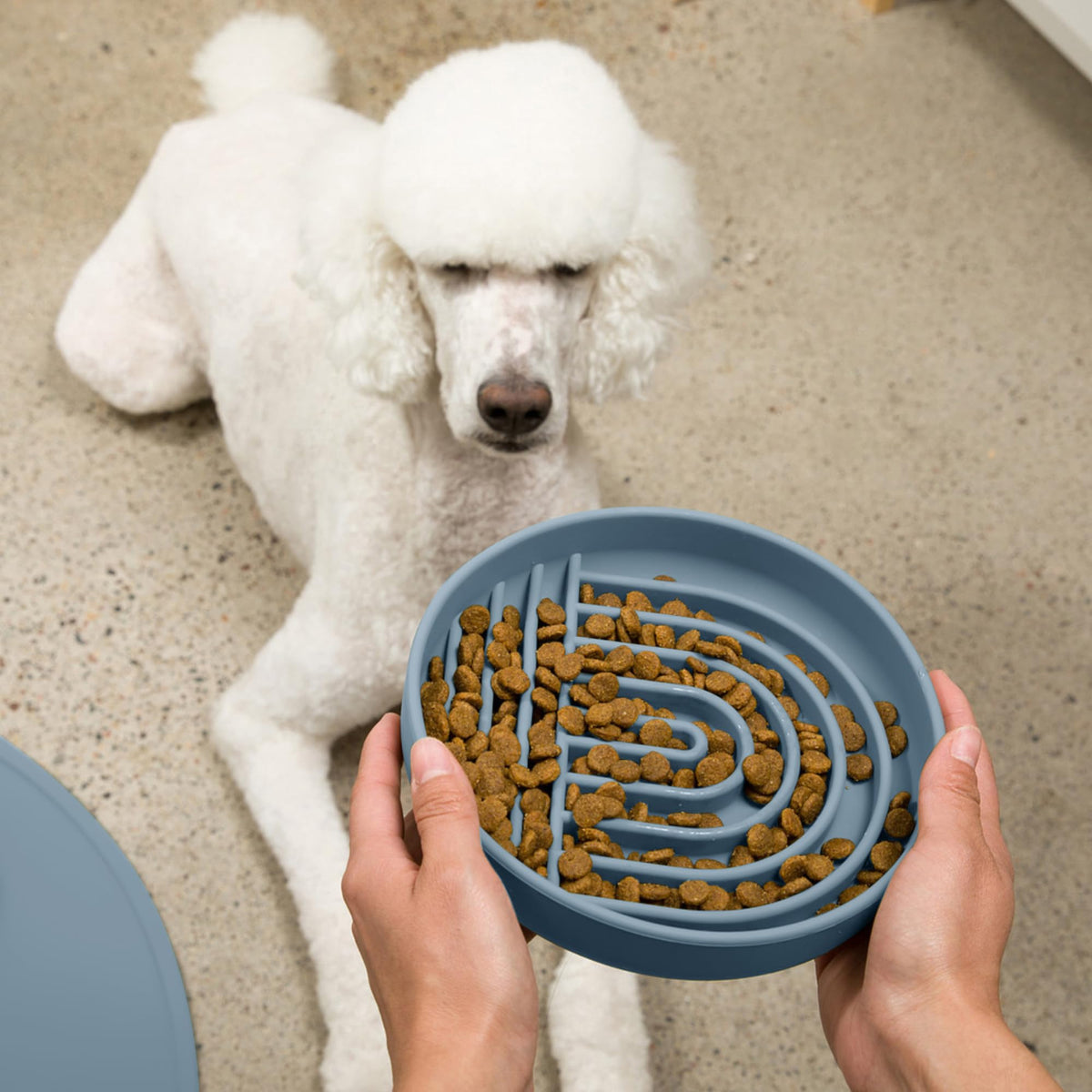 Slow Feeder Dog Bowls - Small Size Silicone Slow Eating Dog Bowl for Puppies & Dogs with Suction Cup -Dishwasher-Safe, Lick Mat Design, Reduces Gulping, for All Breeds, 6”x1.25”- Sage