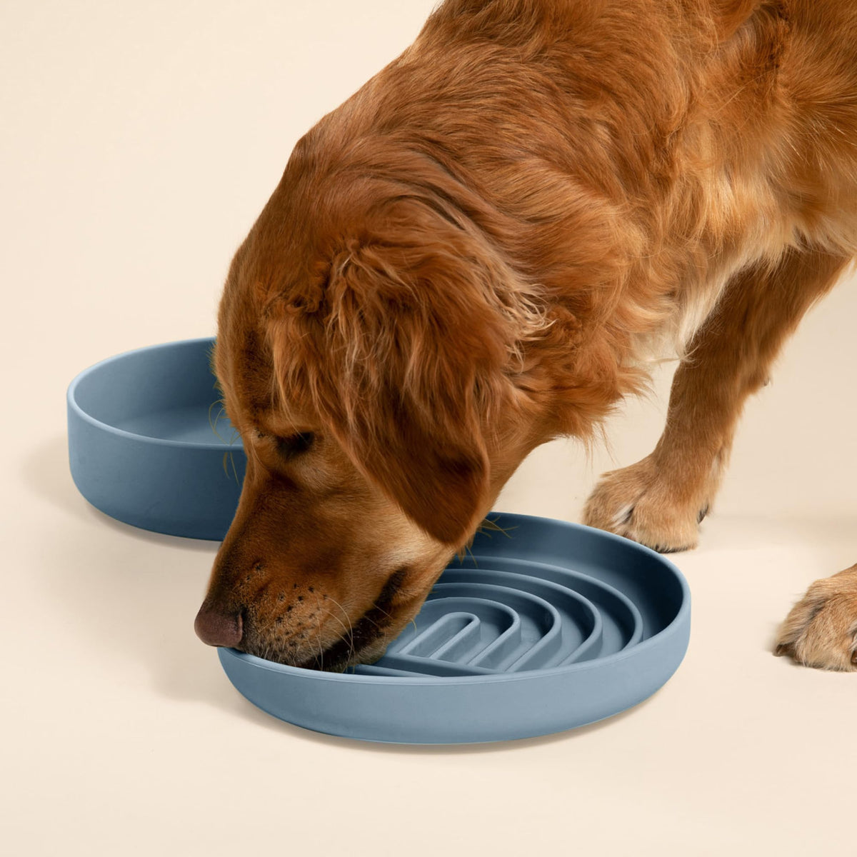 Slow Feeder Dog Bowls - Small Size Silicone Slow Eating Dog Bowl for Puppies & Dogs with Suction Cup -Dishwasher-Safe, Lick Mat Design, Reduces Gulping, for All Breeds, 6”x1.25”- Sage