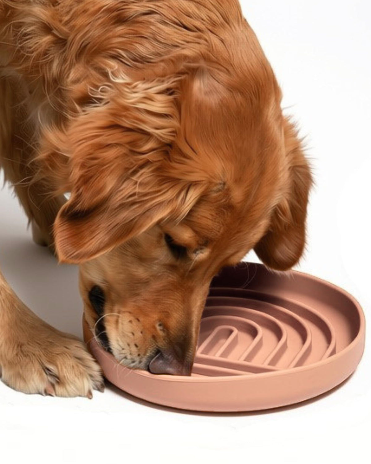 Slow Feeder Dog Bowls - Small Size Silicone Slow Eating Dog Bowl for Puppies & Dogs with Suction Cup -Dishwasher-Safe, Lick Mat Design, Reduces Gulping, for All Breeds, 6”x1.25”- Sage