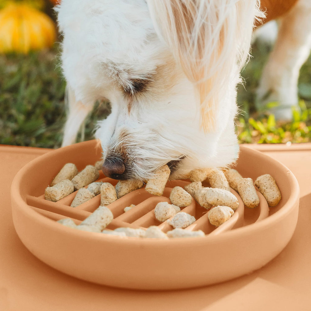 Slow Feeder Dog Bowls - Small Size Silicone Slow Eating Dog Bowl for Puppies & Dogs with Suction Cup -Dishwasher-Safe, Lick Mat Design, Reduces Gulping, for All Breeds, 6”x1.25”- Sage