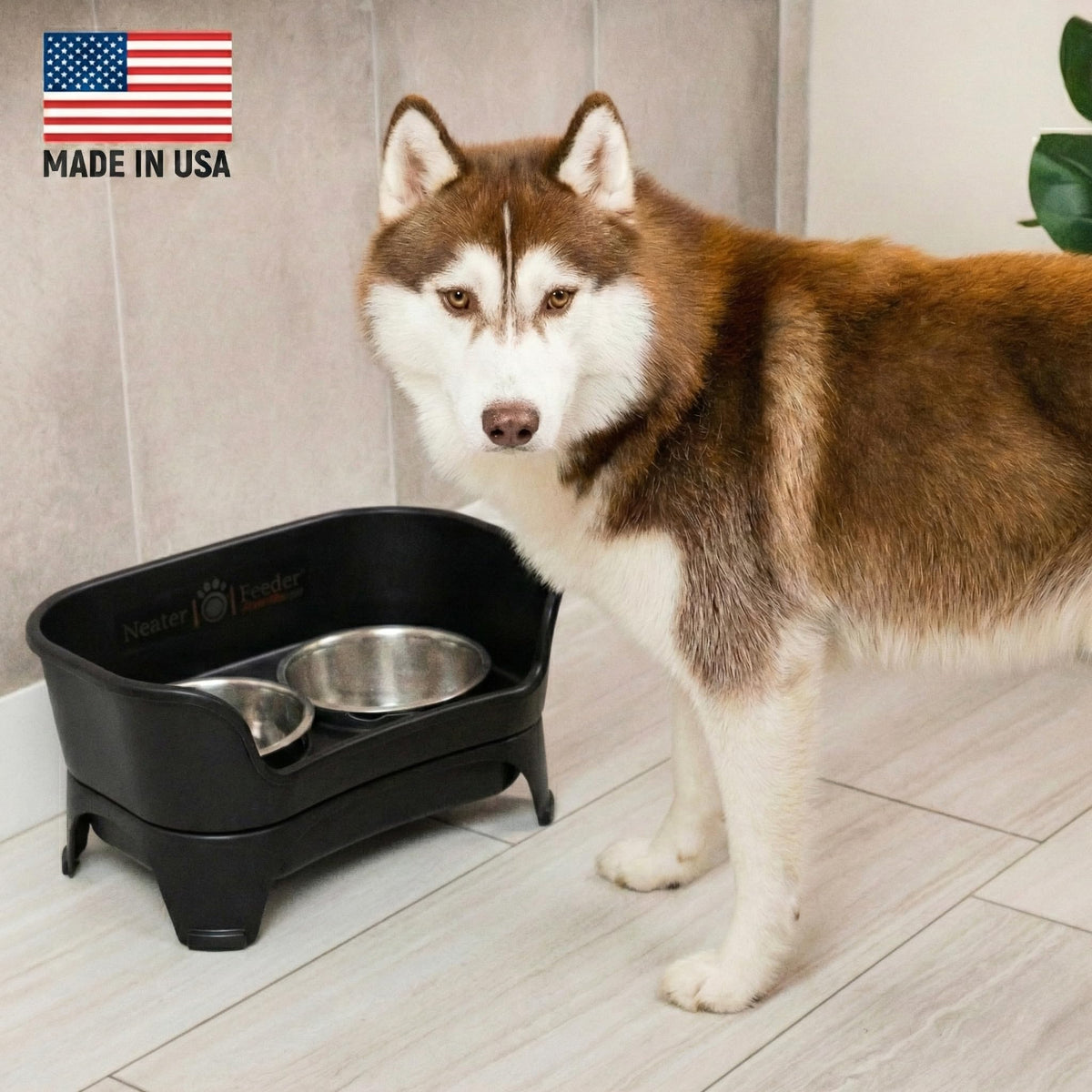 Neater Feeder Express Mess Proof Dog Bowls Elevated for Small Breeds Under 15 Lb, Made in USA, No Spill Raised Dog Food Bowl Stand, Stainless Steel Food and Water Bowl Set, Feeding Station, Grey