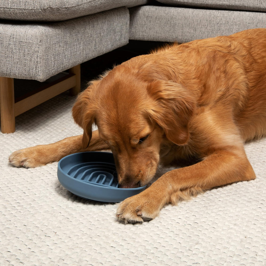 Slow Feeder Dog Bowls - Small Size Silicone Slow Eating Dog Bowl for Puppies & Dogs with Suction Cup -Dishwasher-Safe, Lick Mat Design, Reduces Gulping, for All Breeds, 6”x1.25”- Sage