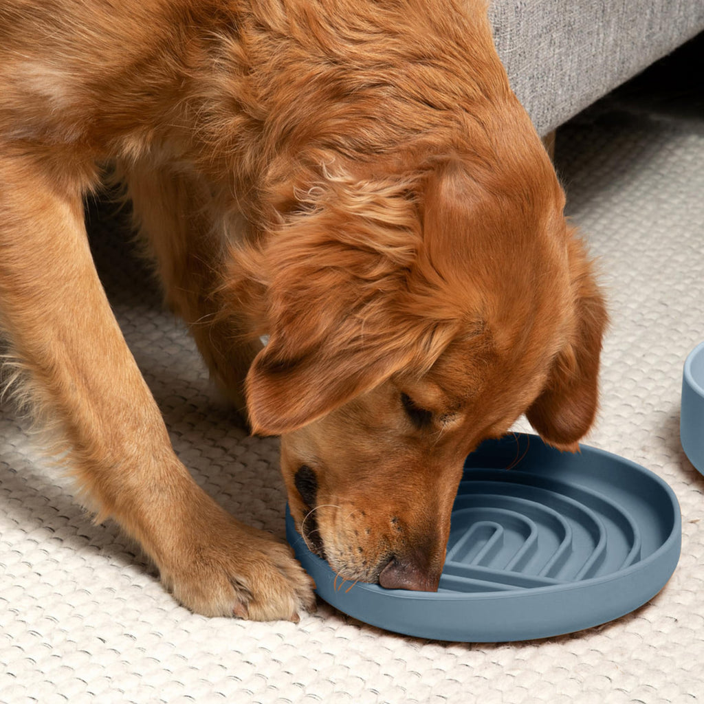 Slow Feeder Dog Bowls - Small Size Silicone Slow Eating Dog Bowl for Puppies & Dogs with Suction Cup -Dishwasher-Safe, Lick Mat Design, Reduces Gulping, for All Breeds, 6”x1.25”- Sage