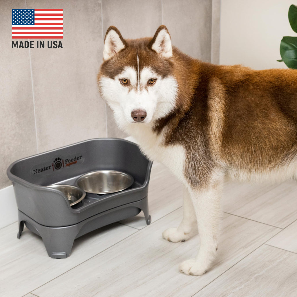 Neater Feeder Express Mess Proof Dog Bowls Elevated for Small Breeds Under 15 Lb, Made in USA, No Spill Raised Dog Food Bowl Stand, Stainless Steel Food and Water Bowl Set, Feeding Station, Grey
