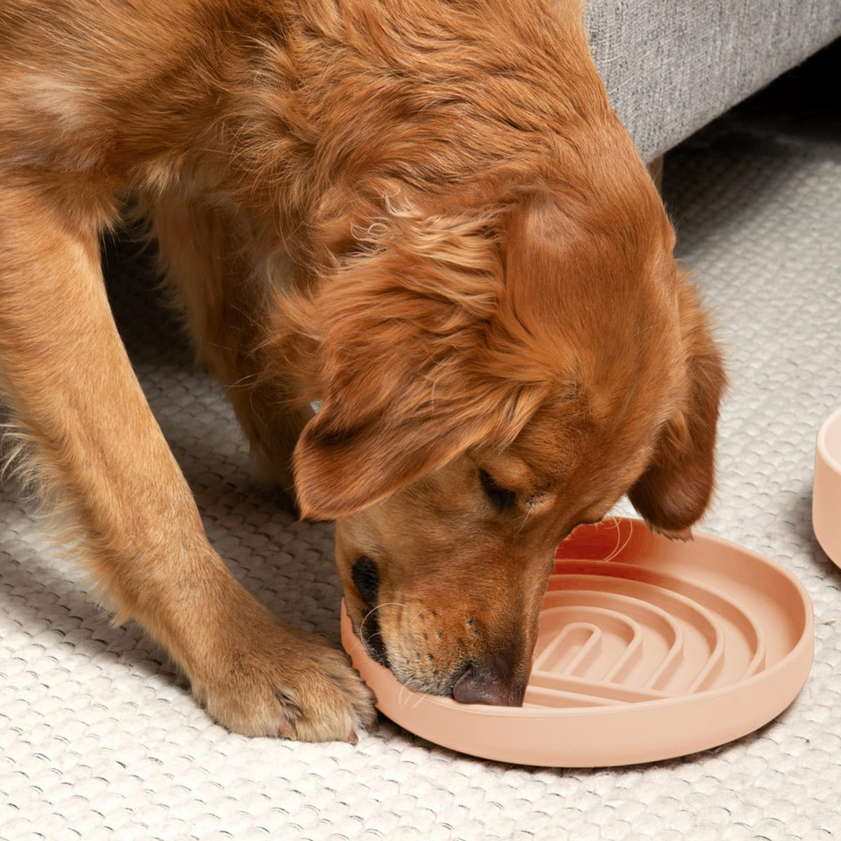 Slow Feeder Dog Bowls - Small Size Silicone Slow Eating Dog Bowl for Puppies & Dogs with Suction Cup -Dishwasher-Safe, Lick Mat Design, Reduces Gulping, for All Breeds, 6”x1.25”- Sage