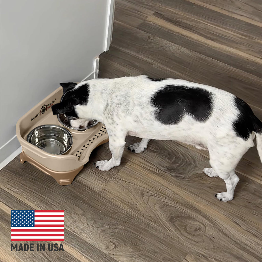 Neater Feeder Express Mess Proof Dog Bowls Elevated for Small Breeds Under 15 Lb, Made in USA, No Spill Raised Dog Food Bowl Stand, Stainless Steel Food and Water Bowl Set, Feeding Station, Grey
