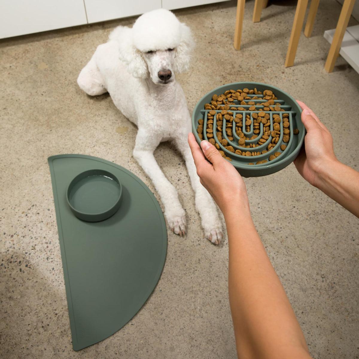 Slow Feeder Dog Bowls - Small Size Silicone Slow Eating Dog Bowl for Puppies & Dogs with Suction Cup -Dishwasher-Safe, Lick Mat Design, Reduces Gulping, for All Breeds, 6”x1.25”- Sage