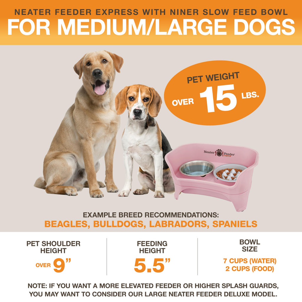 Neater Feeder Express Mess Proof Dog Bowls Elevated for Small Breeds Under 15 Lb, Made in USA, No Spill Raised Dog Food Bowl Stand, Stainless Steel Food and Water Bowl Set, Feeding Station, Grey