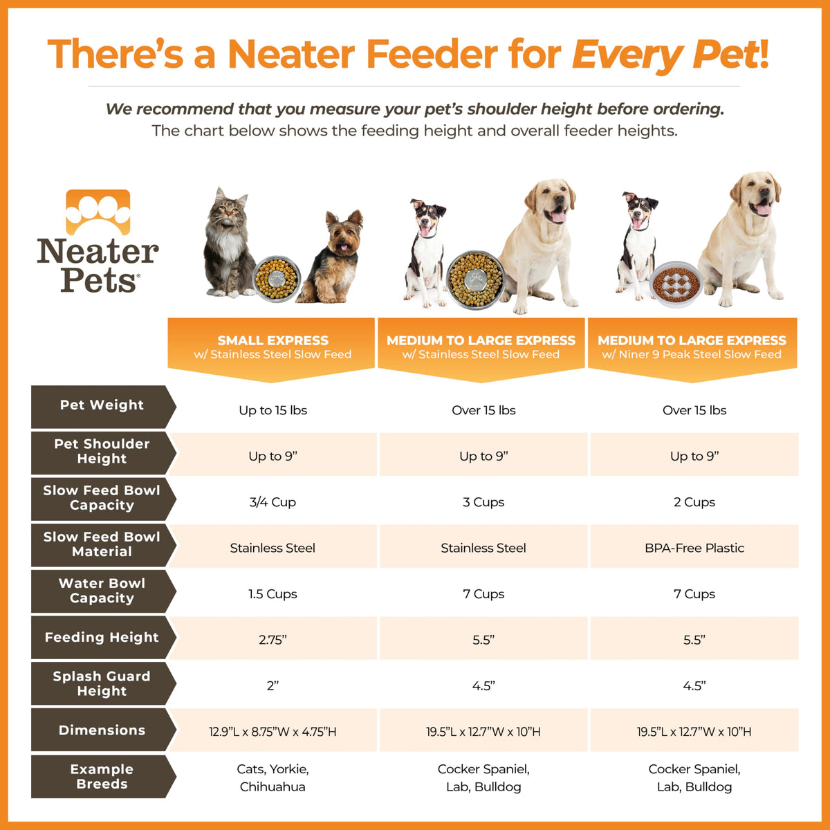 Neater Feeder Express Mess Proof Dog Bowls Elevated for Small Breeds Under 15 Lb, Made in USA, No Spill Raised Dog Food Bowl Stand, Stainless Steel Food and Water Bowl Set, Feeding Station, Grey