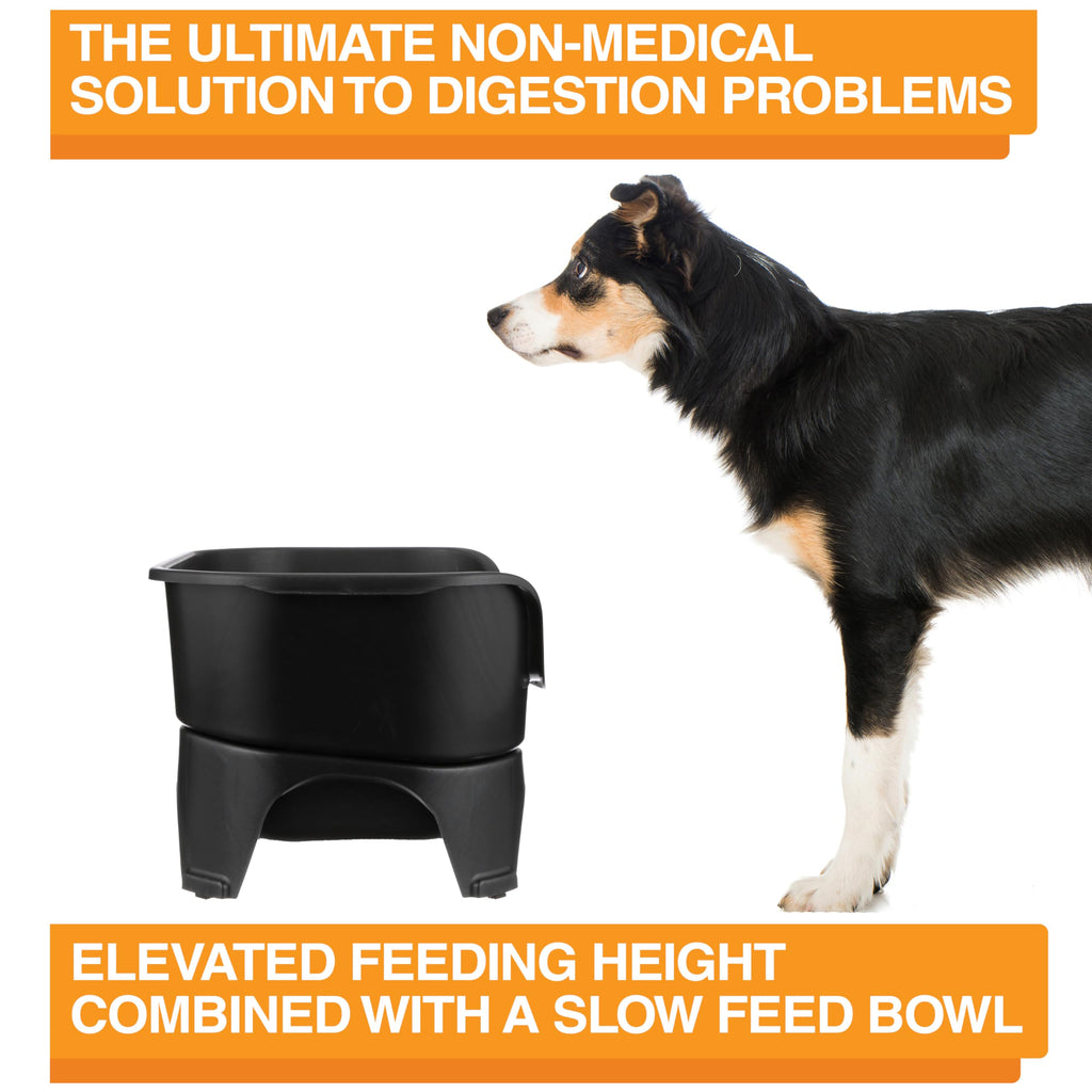 Neater Feeder Express Mess Proof Dog Bowls Elevated for Small Breeds Under 15 Lb, Made in USA, No Spill Raised Dog Food Bowl Stand, Stainless Steel Food and Water Bowl Set, Feeding Station, Grey