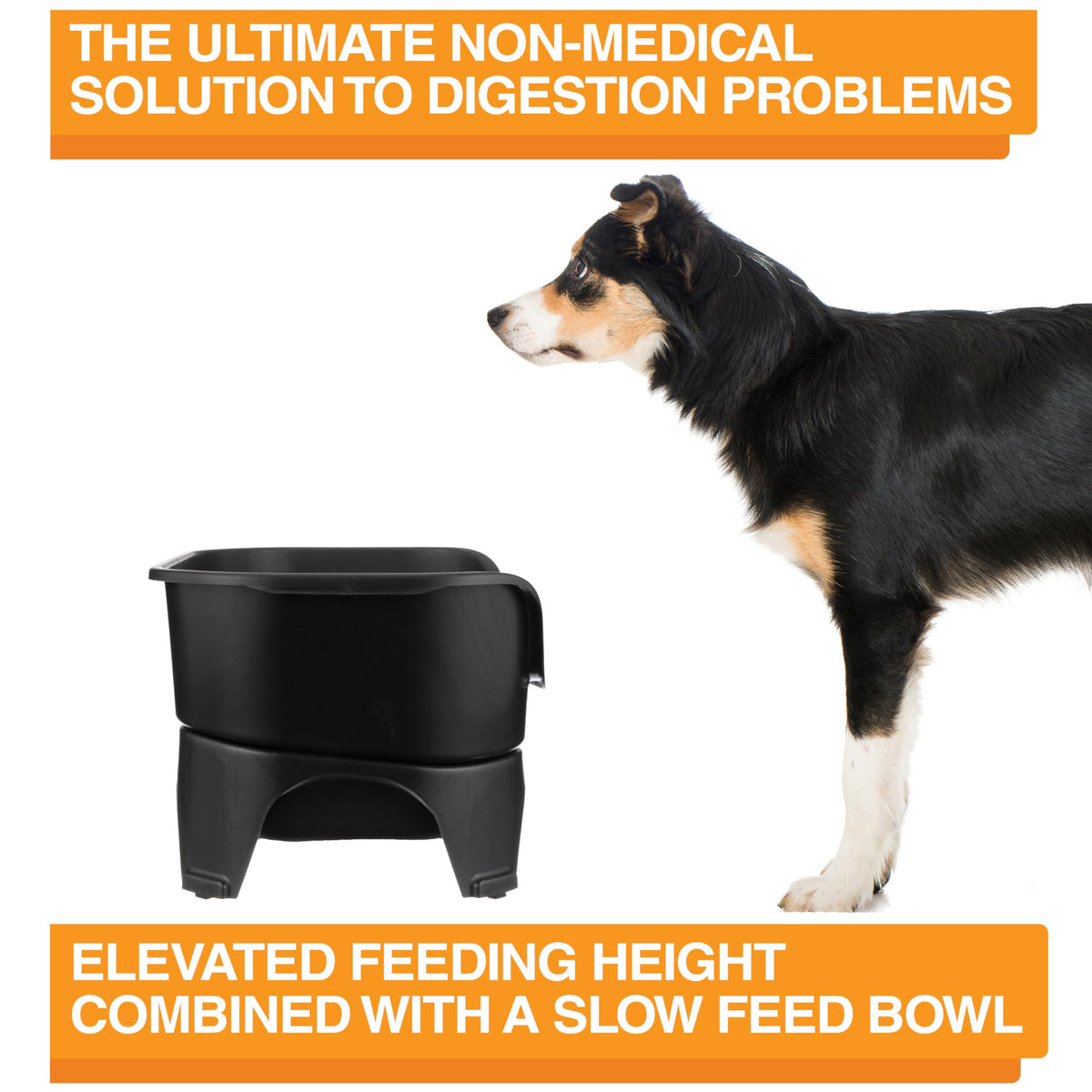 Neater Feeder Express Mess Proof Dog Bowls Elevated for Small Breeds Under 15 Lb, Made in USA, No Spill Raised Dog Food Bowl Stand, Stainless Steel Food and Water Bowl Set, Feeding Station, Grey