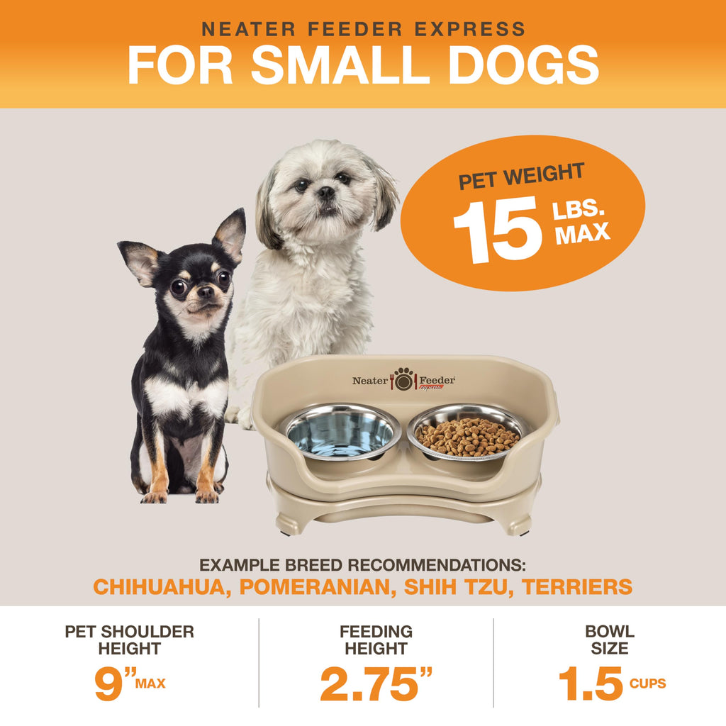 Neater Feeder Express Mess Proof Dog Bowls Elevated for Small Breeds Under 15 Lb, Made in USA, No Spill Raised Dog Food Bowl Stand, Stainless Steel Food and Water Bowl Set, Feeding Station, Grey