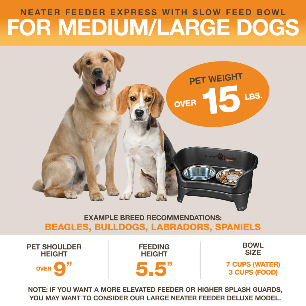 Neater Feeder Express Mess Proof Dog Bowls Elevated for Small Breeds Under 15 Lb, Made in USA, No Spill Raised Dog Food Bowl Stand, Stainless Steel Food and Water Bowl Set, Feeding Station, Grey