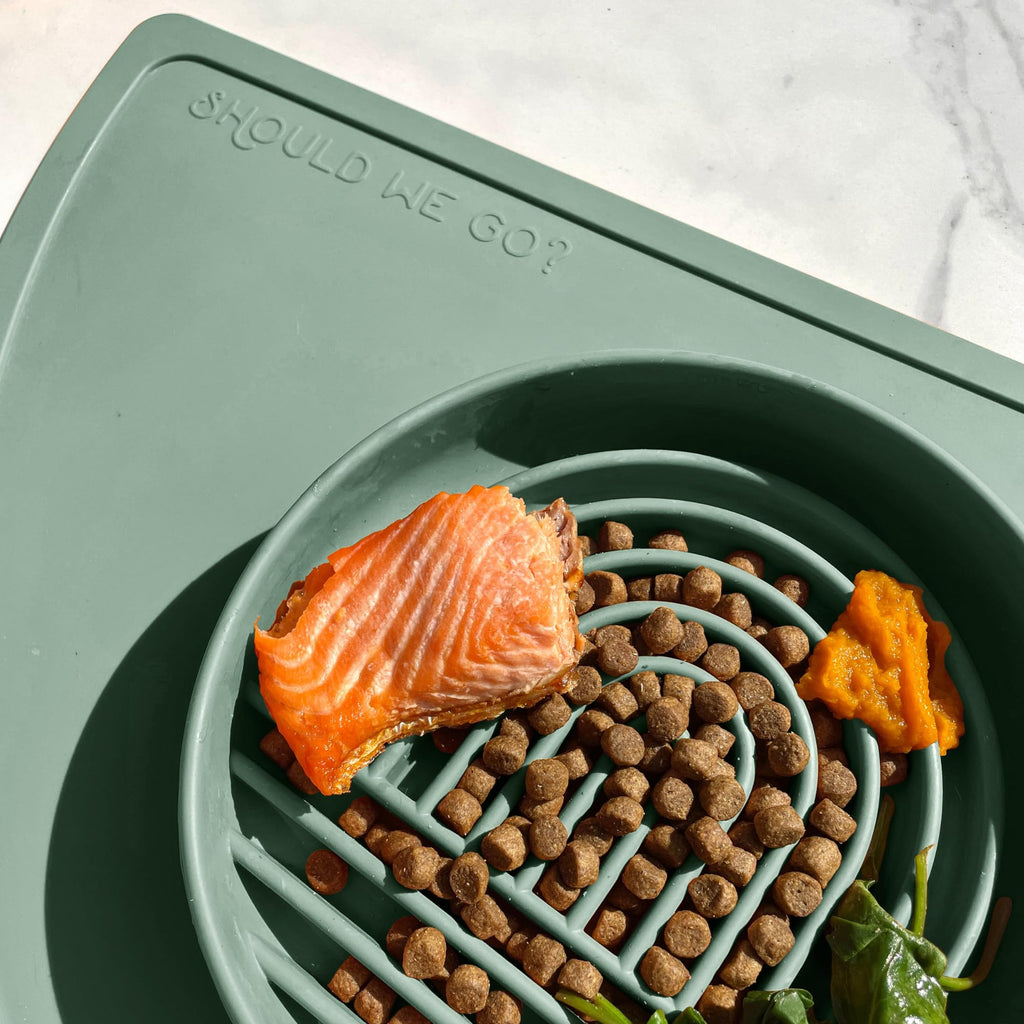 Slow Feeder Dog Bowls - Small Size Silicone Slow Eating Dog Bowl for Puppies & Dogs with Suction Cup -Dishwasher-Safe, Lick Mat Design, Reduces Gulping, for All Breeds, 6”x1.25”- Sage