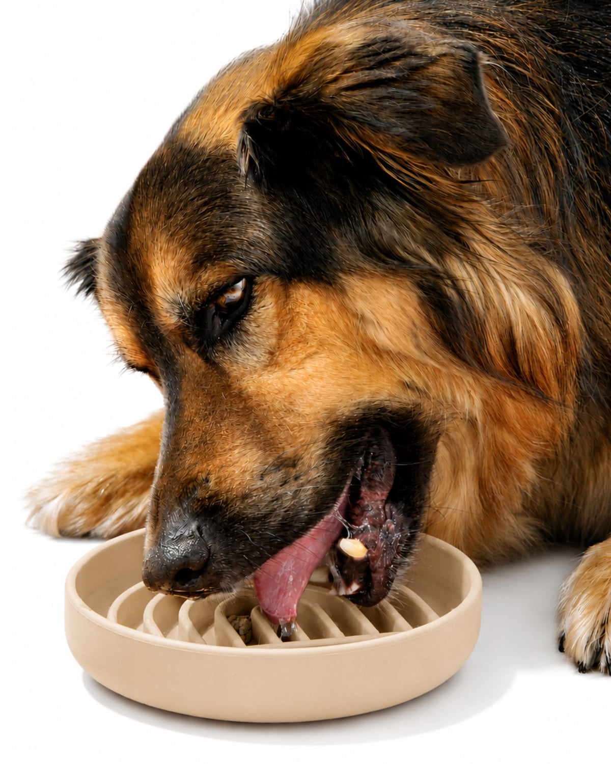 Slow Feeder Dog Bowls - Small Size Silicone Slow Eating Dog Bowl for Puppies & Dogs with Suction Cup -Dishwasher-Safe, Lick Mat Design, Reduces Gulping, for All Breeds, 6”x1.25”- Sage