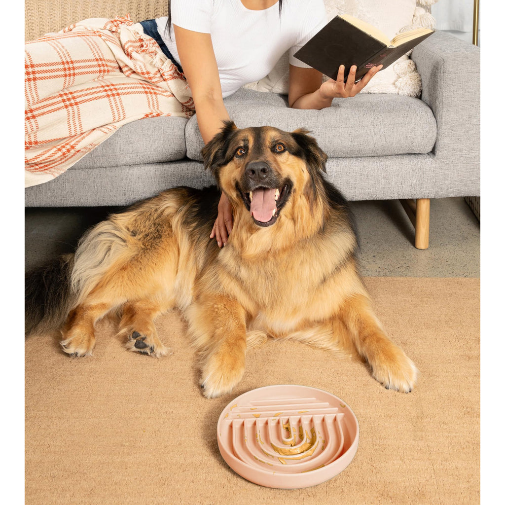 Slow Feeder Dog Bowls - Small Size Silicone Slow Eating Dog Bowl for Puppies & Dogs with Suction Cup -Dishwasher-Safe, Lick Mat Design, Reduces Gulping, for All Breeds, 6”x1.25”- Sage