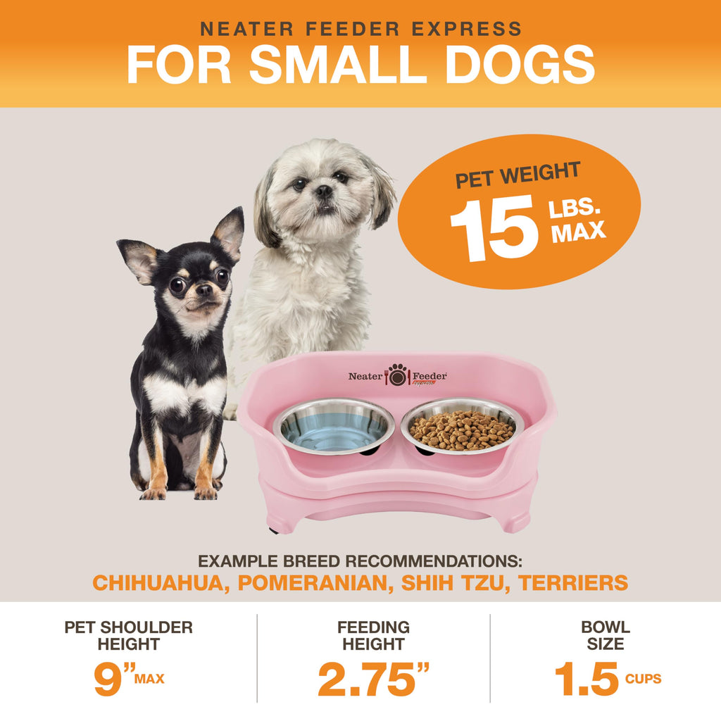 Neater Feeder Express Mess Proof Dog Bowls Elevated for Small Breeds Under 15 Lb, Made in USA, No Spill Raised Dog Food Bowl Stand, Stainless Steel Food and Water Bowl Set, Feeding Station, Grey