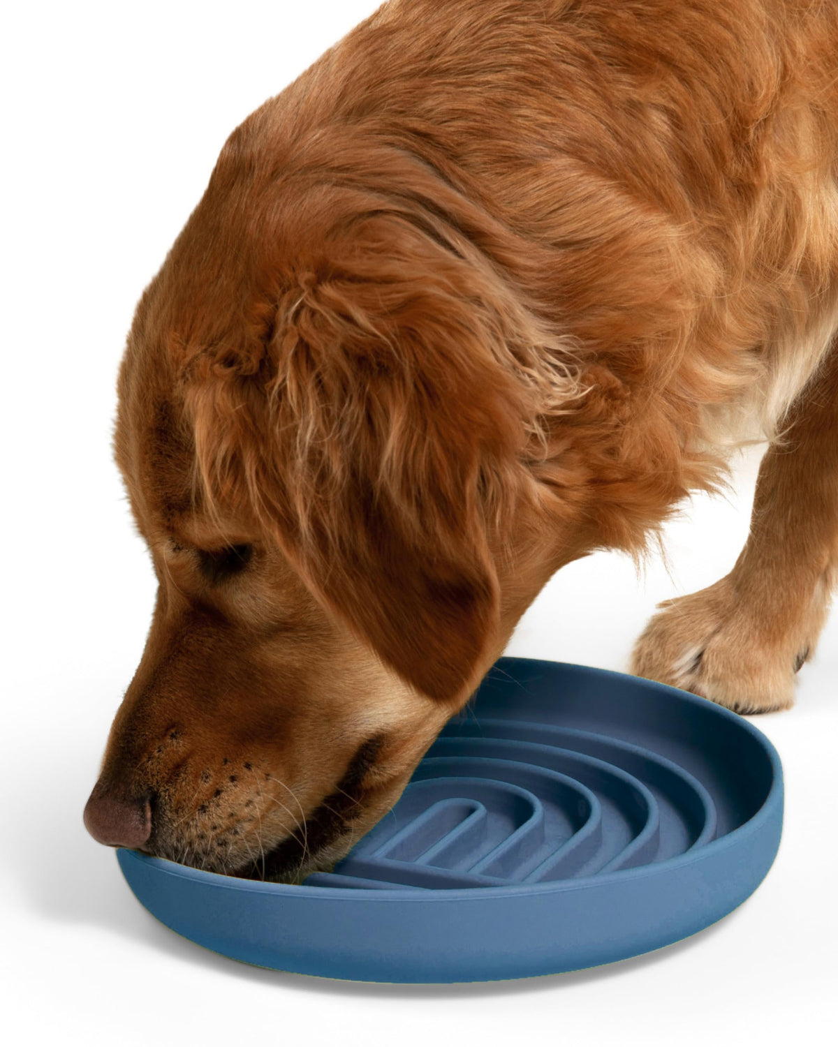 Slow Feeder Dog Bowls - Small Size Silicone Slow Eating Dog Bowl for Puppies & Dogs with Suction Cup -Dishwasher-Safe, Lick Mat Design, Reduces Gulping, for All Breeds, 6”x1.25”- Sage