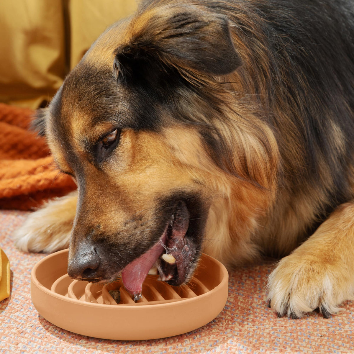 Slow Feeder Dog Bowls - Small Size Silicone Slow Eating Dog Bowl for Puppies & Dogs with Suction Cup -Dishwasher-Safe, Lick Mat Design, Reduces Gulping, for All Breeds, 6”x1.25”- Sage
