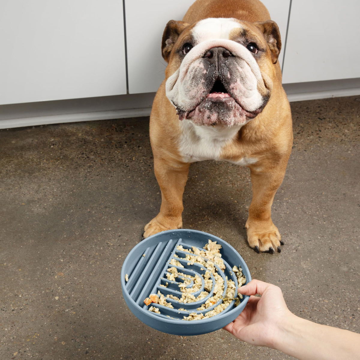 Slow Feeder Dog Bowls - Small Size Silicone Slow Eating Dog Bowl for Puppies & Dogs with Suction Cup -Dishwasher-Safe, Lick Mat Design, Reduces Gulping, for All Breeds, 6”x1.25”- Sage