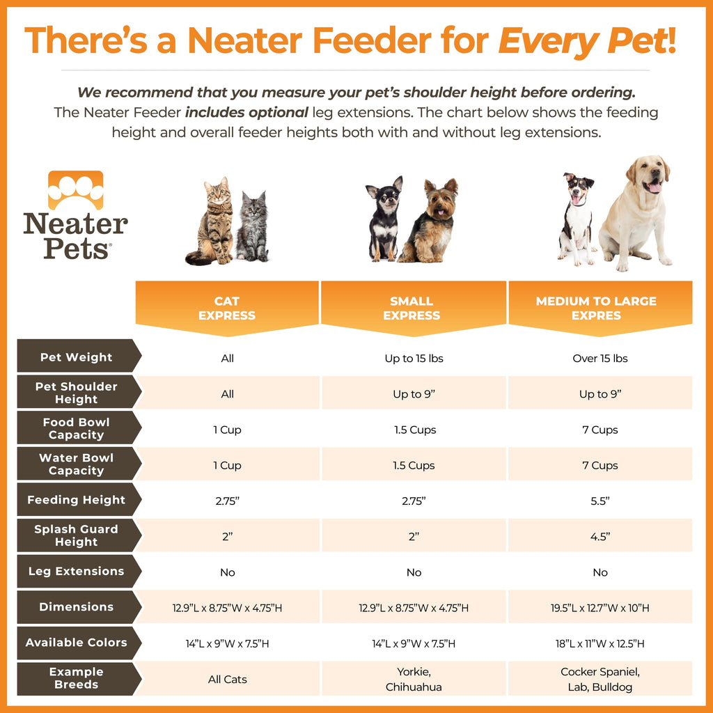 Neater Feeder Express Mess Proof Dog Bowls Elevated for Small Breeds Under 15 Lb, Made in USA, No Spill Raised Dog Food Bowl Stand, Stainless Steel Food and Water Bowl Set, Feeding Station, Grey