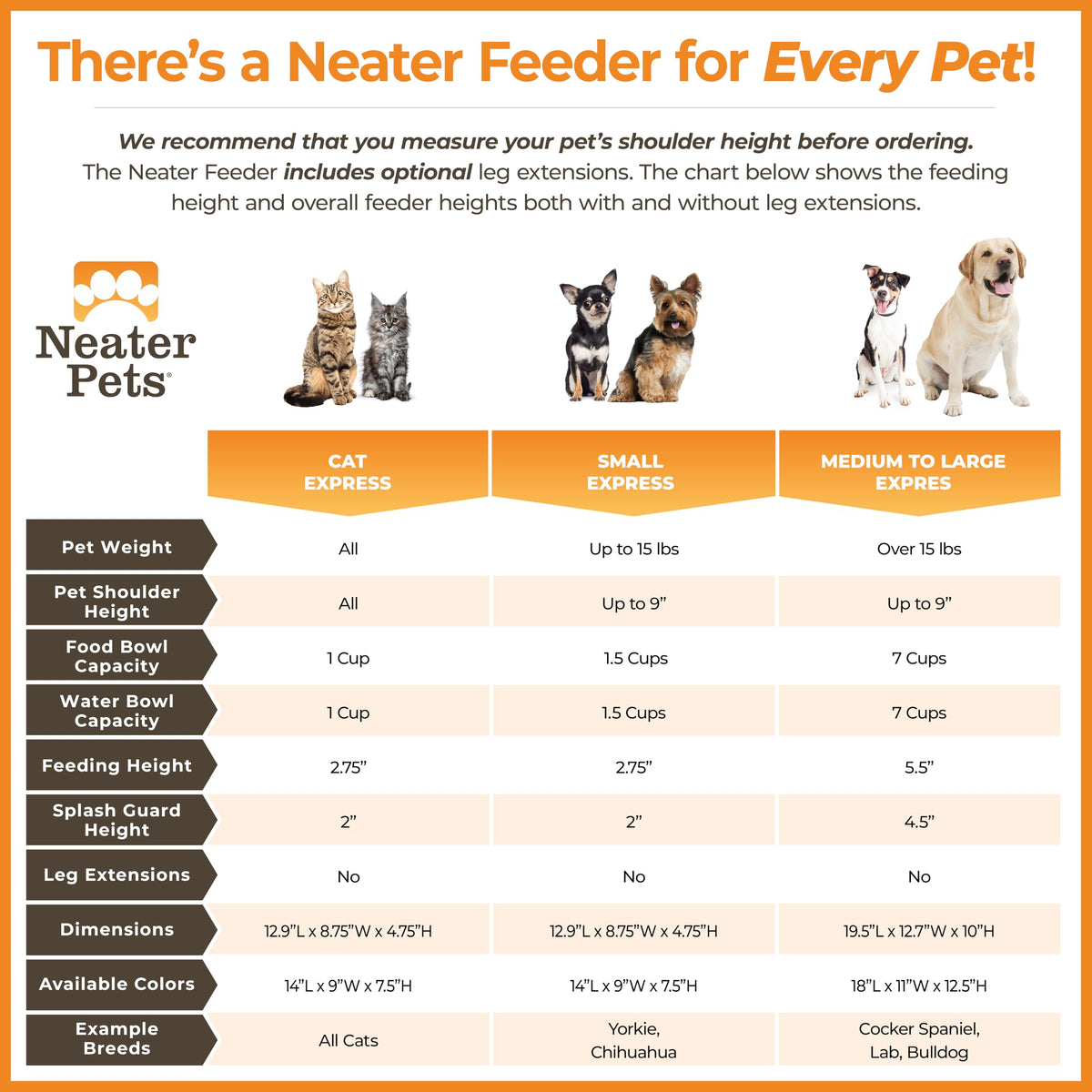 Neater Feeder Express Mess Proof Dog Bowls Elevated for Small Breeds Under 15 Lb, Made in USA, No Spill Raised Dog Food Bowl Stand, Stainless Steel Food and Water Bowl Set, Feeding Station, Grey
