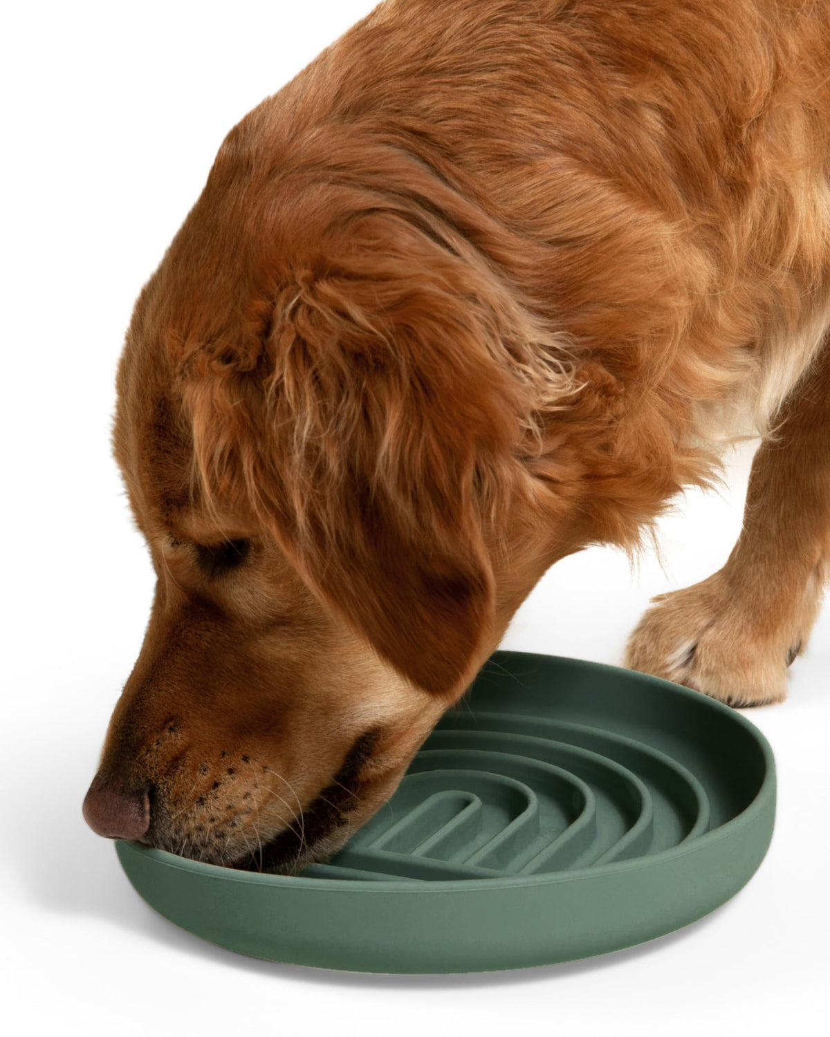 Slow Feeder Dog Bowls - Small Size Silicone Slow Eating Dog Bowl for Puppies & Dogs with Suction Cup -Dishwasher-Safe, Lick Mat Design, Reduces Gulping, for All Breeds, 6”x1.25”- Sage