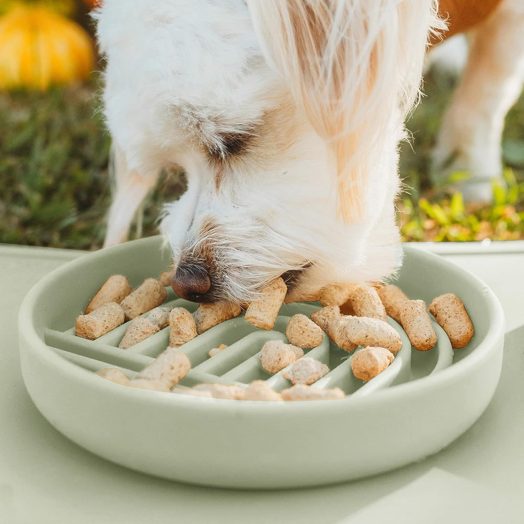 Slow Feeder Dog Bowls - Small Size Silicone Slow Eating Dog Bowl for Puppies & Dogs with Suction Cup -Dishwasher-Safe, Lick Mat Design, Reduces Gulping, for All Breeds, 6”x1.25”- Sage