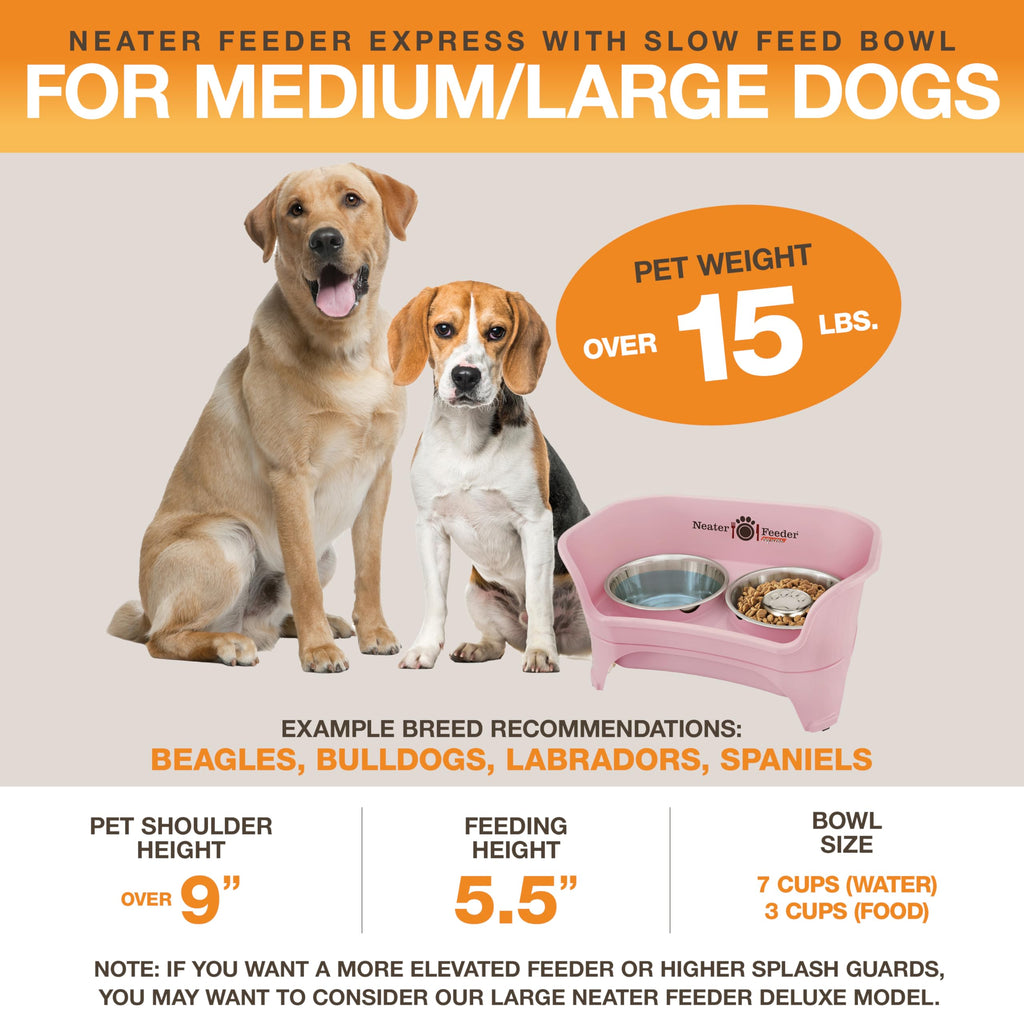 Neater Feeder Express Mess Proof Dog Bowls Elevated for Small Breeds Under 15 Lb, Made in USA, No Spill Raised Dog Food Bowl Stand, Stainless Steel Food and Water Bowl Set, Feeding Station, Grey