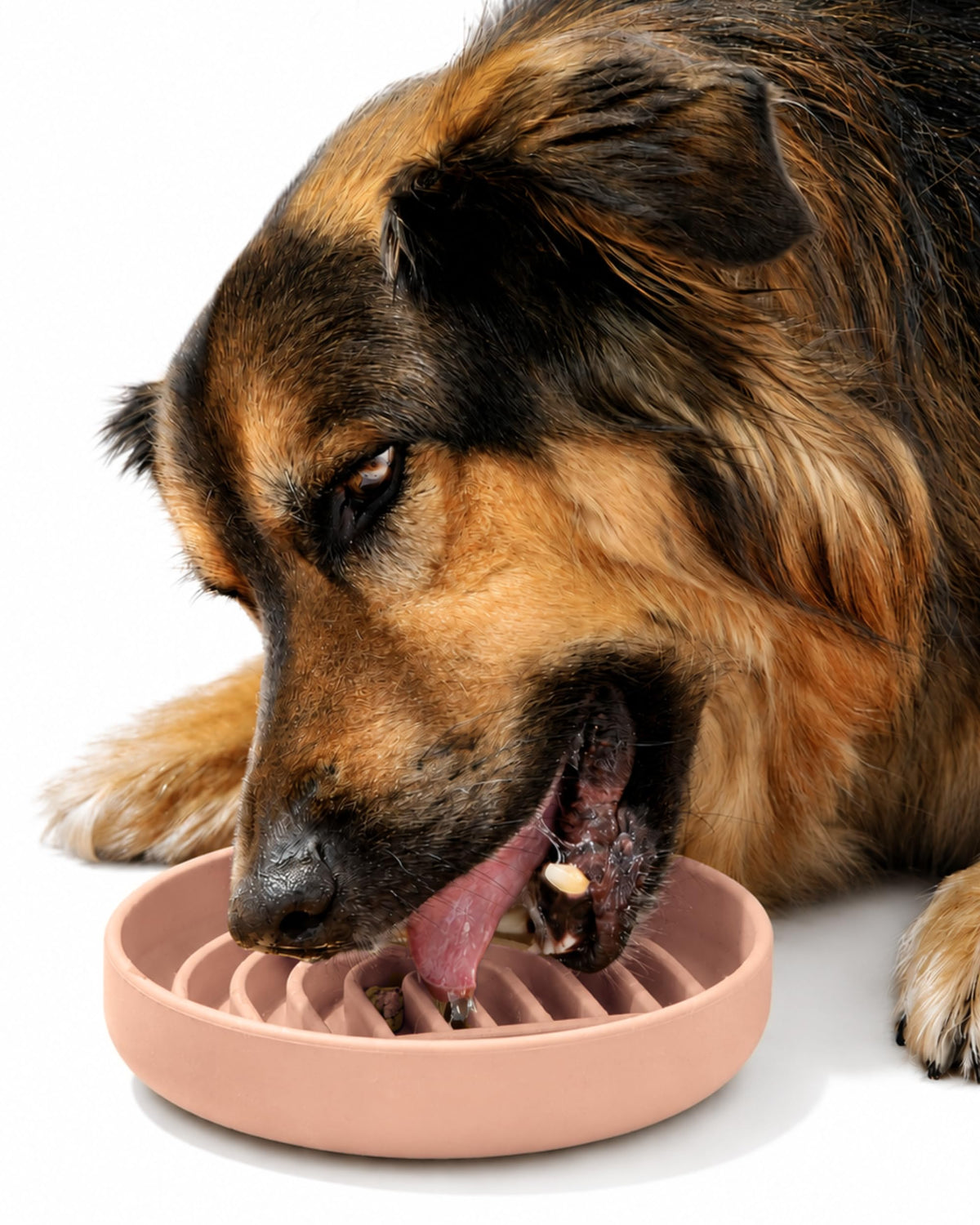 Slow Feeder Dog Bowls - Small Size Silicone Slow Eating Dog Bowl for Puppies & Dogs with Suction Cup -Dishwasher-Safe, Lick Mat Design, Reduces Gulping, for All Breeds, 6”x1.25”- Sage