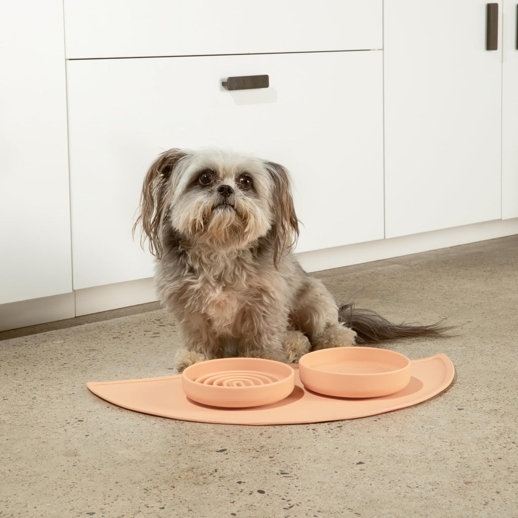 Slow Feeder Dog Bowls - Small Size Silicone Slow Eating Dog Bowl for Puppies & Dogs with Suction Cup -Dishwasher-Safe, Lick Mat Design, Reduces Gulping, for All Breeds, 6”x1.25”- Sage