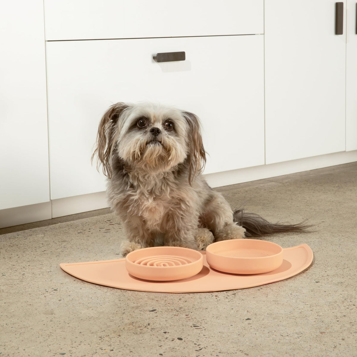 Slow Feeder Dog Bowls - Small Size Silicone Slow Eating Dog Bowl for Puppies & Dogs with Suction Cup -Dishwasher-Safe, Lick Mat Design, Reduces Gulping, for All Breeds, 6”x1.25”- Sage