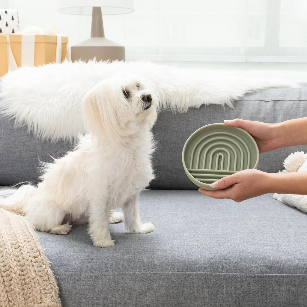 Slow Feeder Dog Bowls - Small Size Silicone Slow Eating Dog Bowl for Puppies & Dogs with Suction Cup -Dishwasher-Safe, Lick Mat Design, Reduces Gulping, for All Breeds, 6”x1.25”- Sage