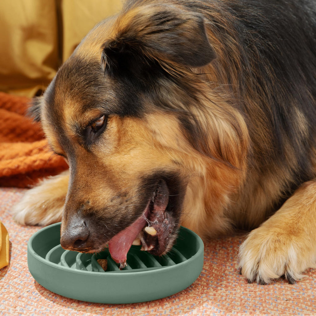 Slow Feeder Dog Bowls - Small Size Silicone Slow Eating Dog Bowl for Puppies & Dogs with Suction Cup -Dishwasher-Safe, Lick Mat Design, Reduces Gulping, for All Breeds, 6”x1.25”- Sage