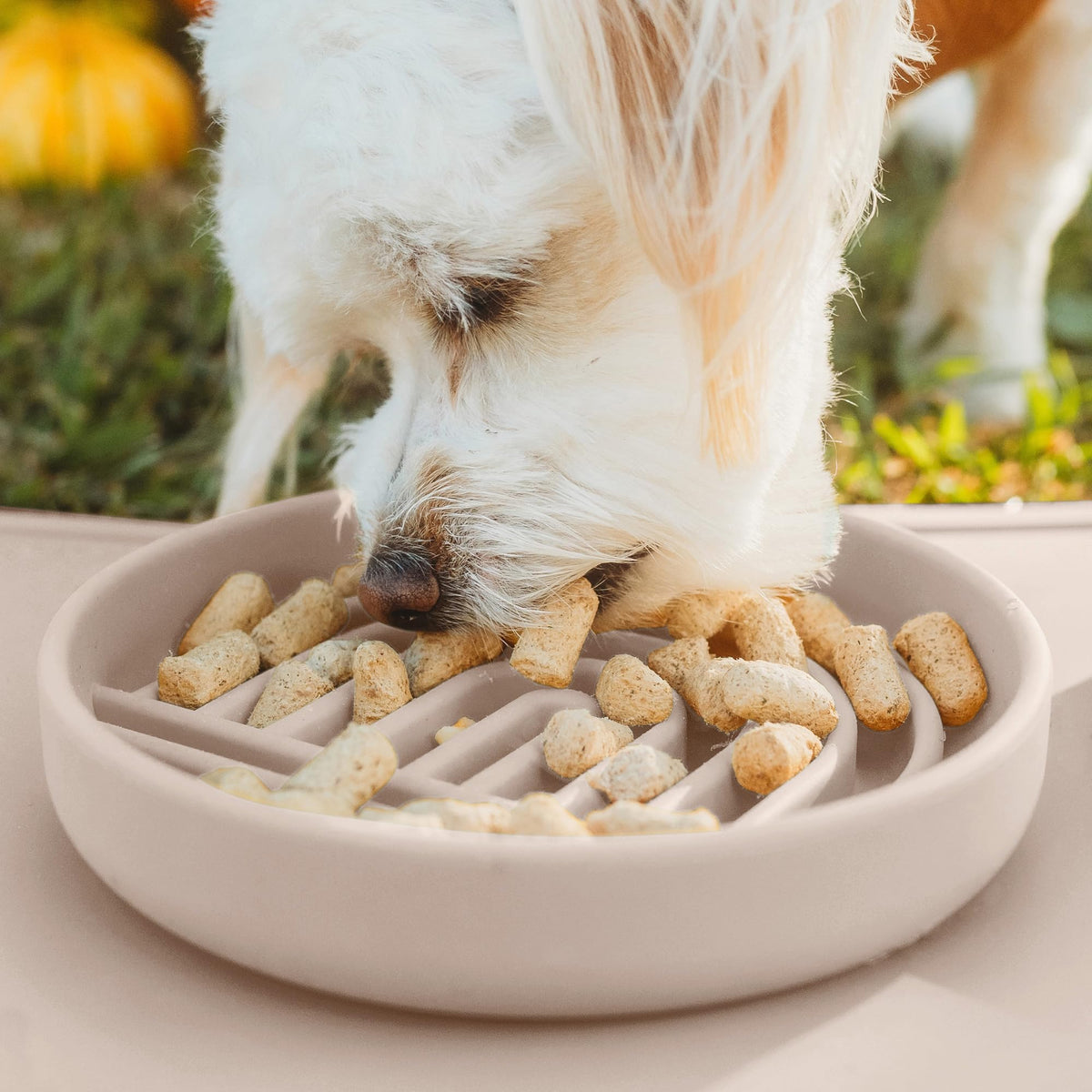 Slow Feeder Dog Bowls - Small Size Silicone Slow Eating Dog Bowl for Puppies & Dogs with Suction Cup -Dishwasher-Safe, Lick Mat Design, Reduces Gulping, for All Breeds, 6”x1.25”- Sage