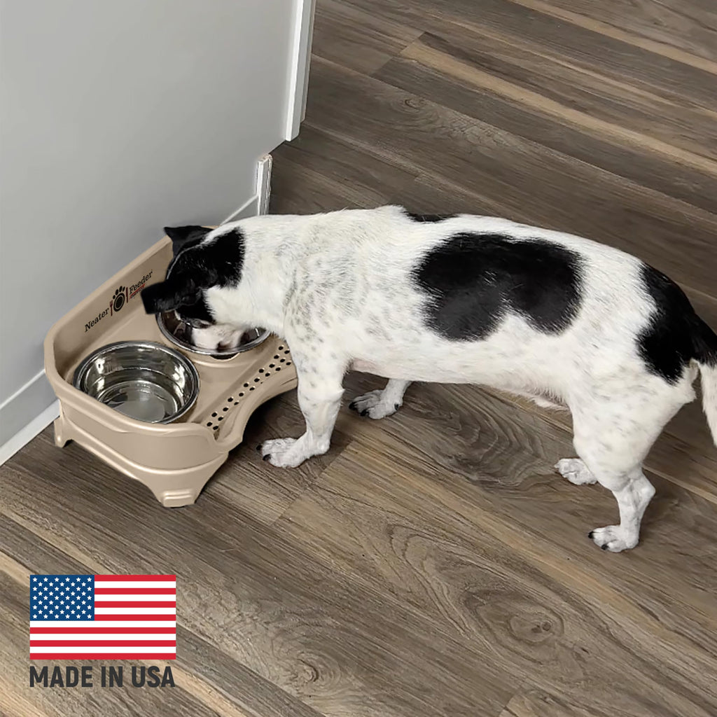 Neater Feeder Express Mess Proof Dog Bowls Elevated for Small Breeds Under 15 Lb, Made in USA, No Spill Raised Dog Food Bowl Stand, Stainless Steel Food and Water Bowl Set, Feeding Station, Grey