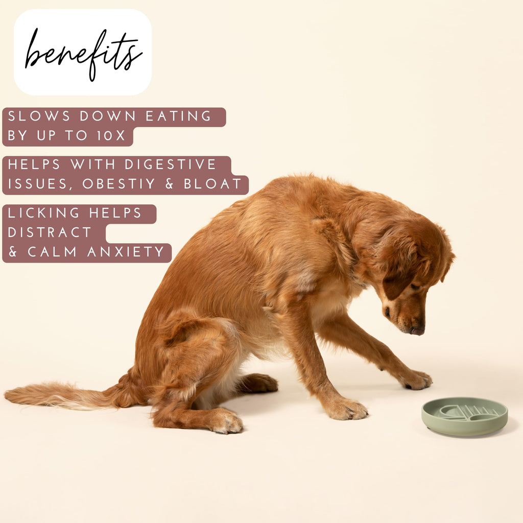 Slow Feeder Dog Bowls - Small Size Silicone Slow Eating Dog Bowl for Puppies & Dogs with Suction Cup -Dishwasher-Safe, Lick Mat Design, Reduces Gulping, for All Breeds, 6”x1.25”- Sage