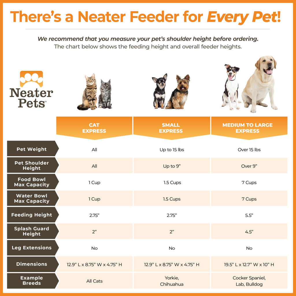 Neater Feeder Express Mess Proof Dog Bowls Elevated for Small Breeds Under 15 Lb, Made in USA, No Spill Raised Dog Food Bowl Stand, Stainless Steel Food and Water Bowl Set, Feeding Station, Grey
