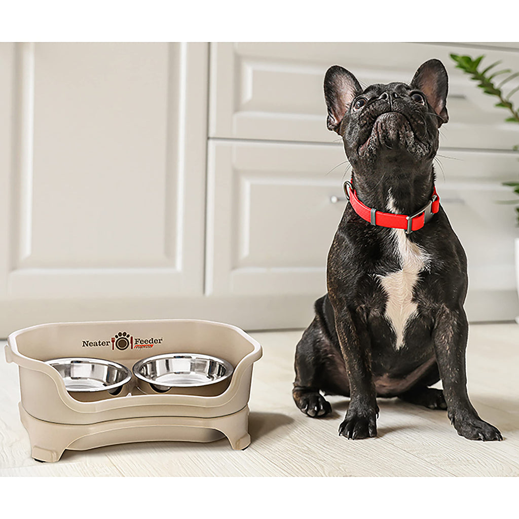 Neater Feeder Express Mess Proof Dog Bowls Elevated for Small Breeds Under 15 Lb, Made in USA, No Spill Raised Dog Food Bowl Stand, Stainless Steel Food and Water Bowl Set, Feeding Station, Grey