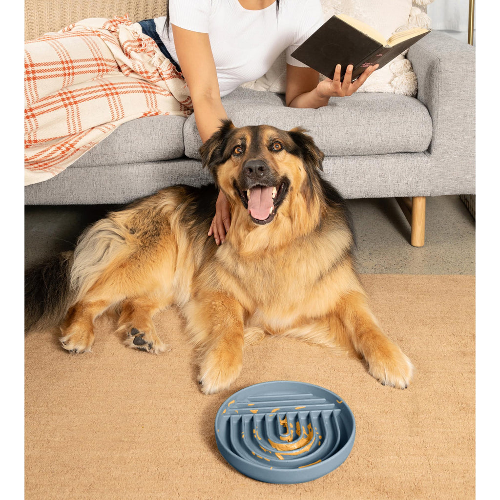 Slow Feeder Dog Bowls - Small Size Silicone Slow Eating Dog Bowl for Puppies & Dogs with Suction Cup -Dishwasher-Safe, Lick Mat Design, Reduces Gulping, for All Breeds, 6”x1.25”- Sage