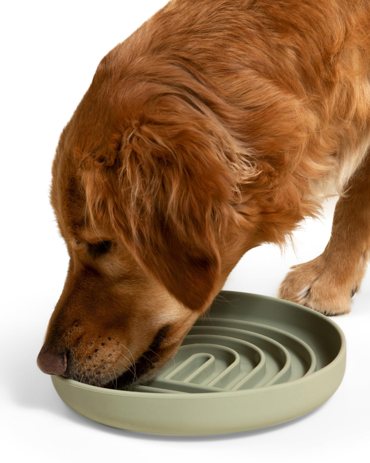Slow Feeder Dog Bowls - Small Size Silicone Slow Eating Dog Bowl for Puppies & Dogs with Suction Cup -Dishwasher-Safe, Lick Mat Design, Reduces Gulping, for All Breeds, 6”x1.25”- Sage